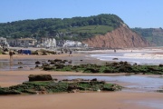 I. East Devon, Exeter